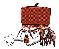 Stjernetosset - Zille sur